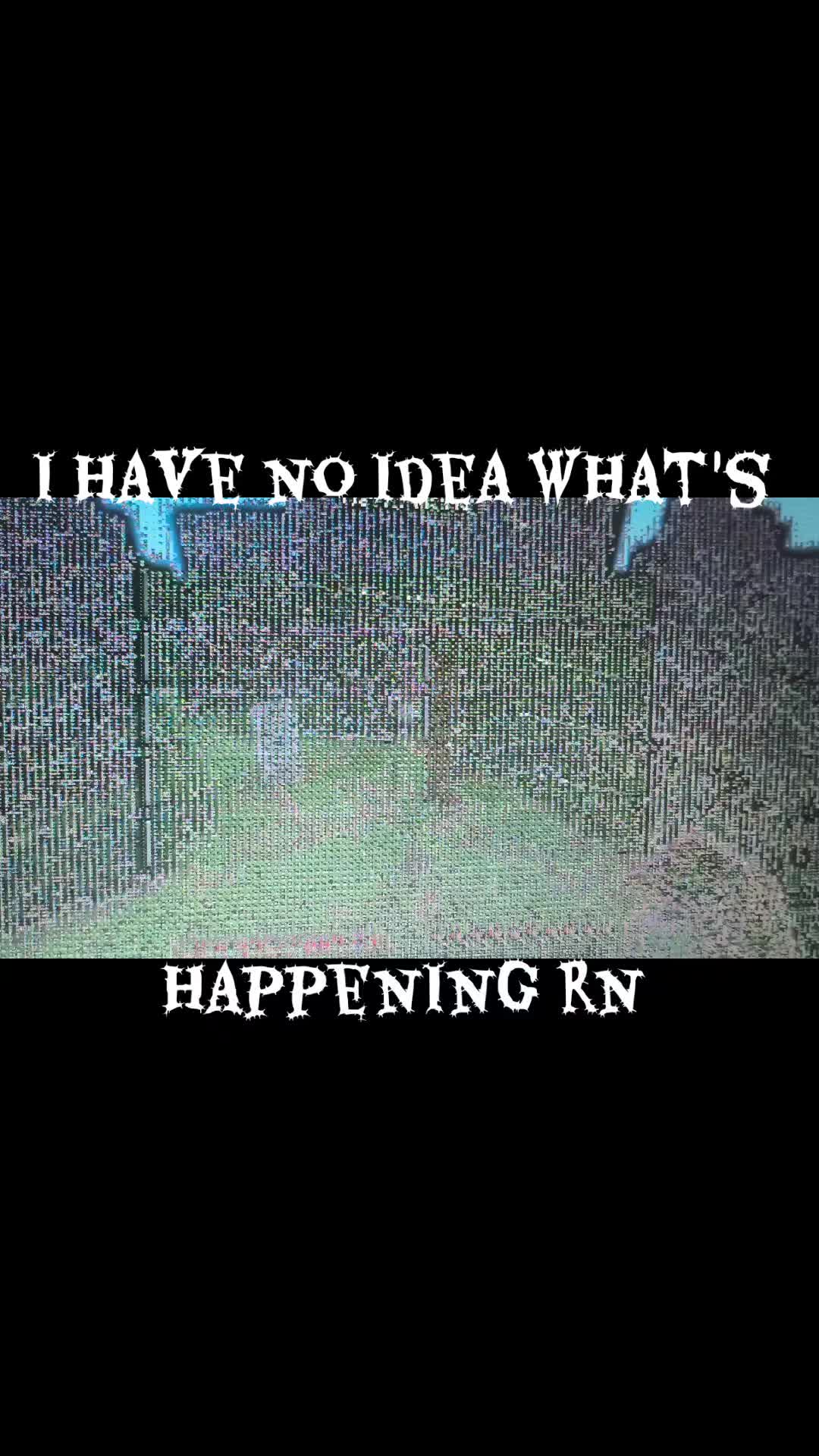 @bear5