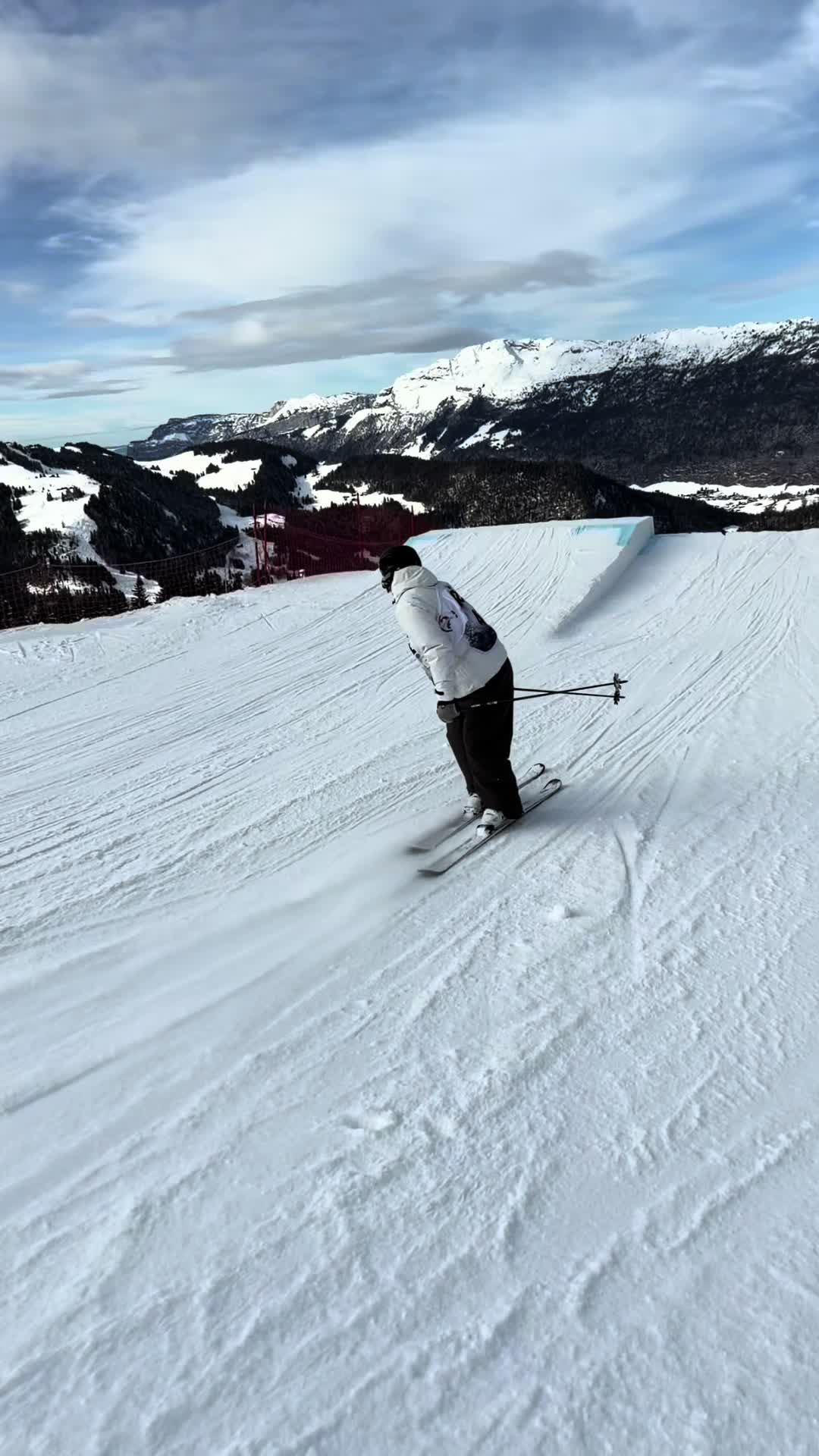 @svenpeillex