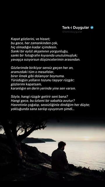 @Terk-i Duygular