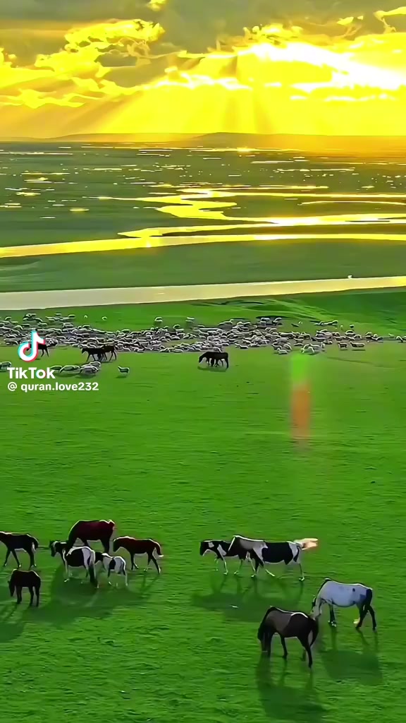 @Orhan çetinkaya