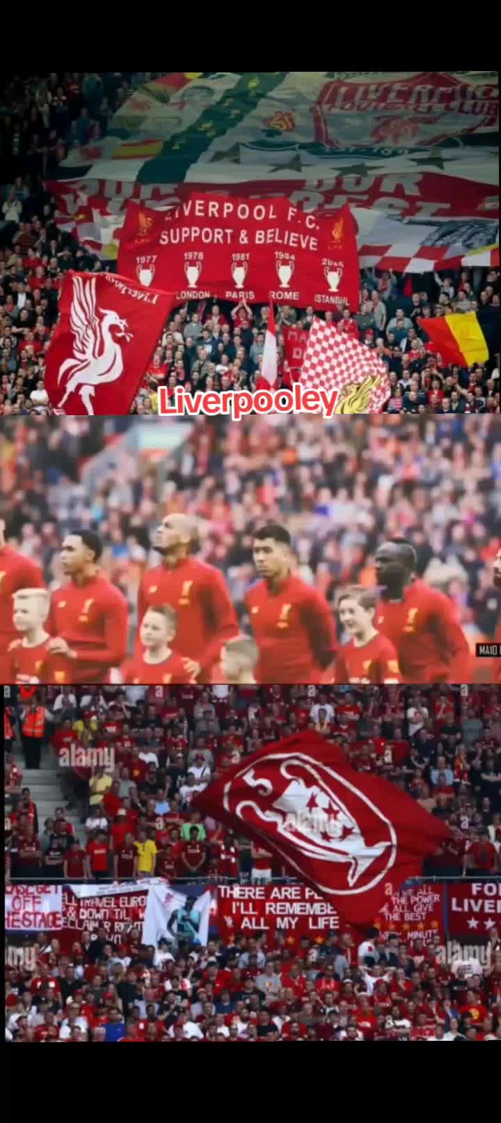 @samiLiverpoolawi