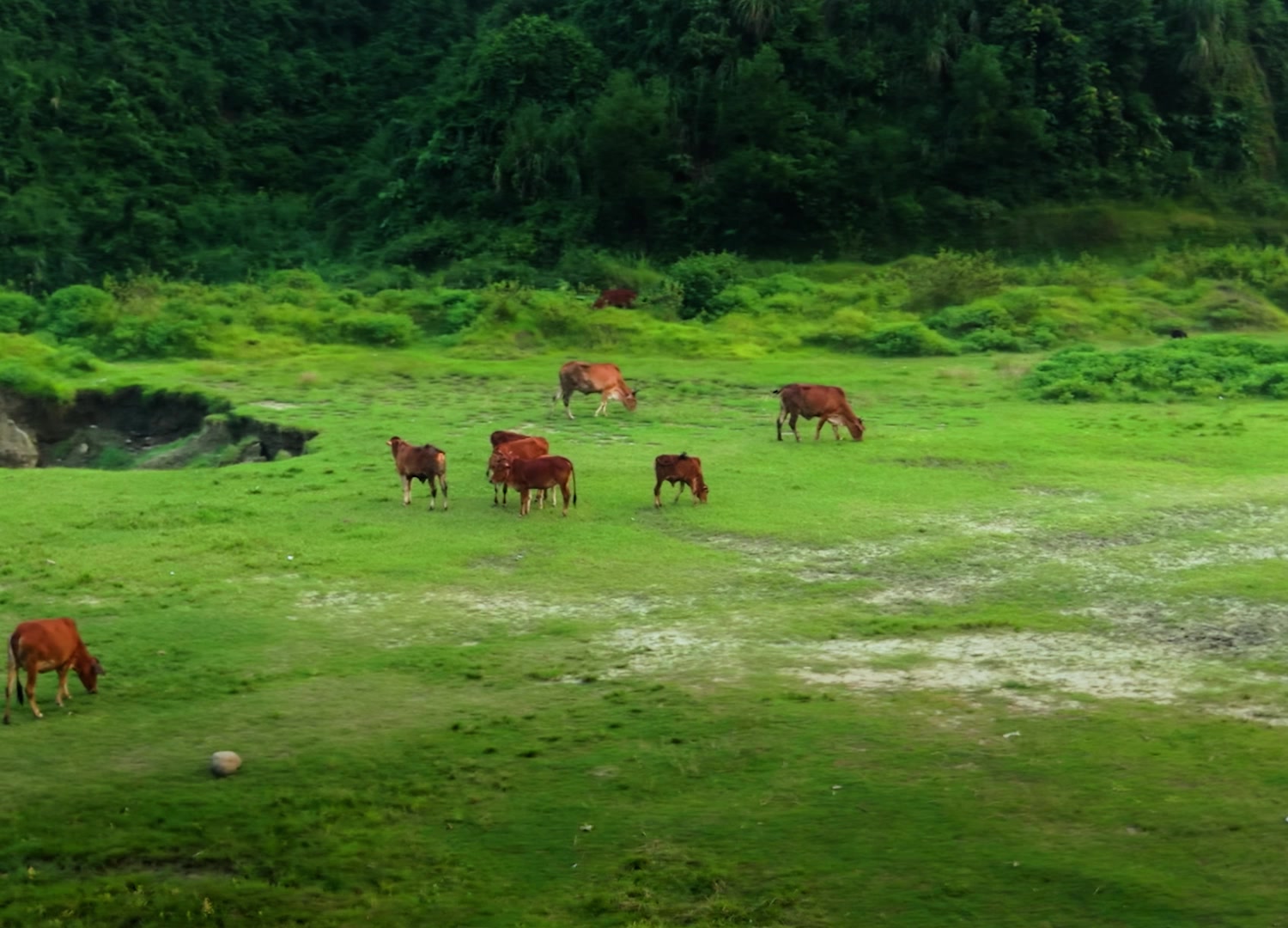 @Ahmed_samit | Chittagong