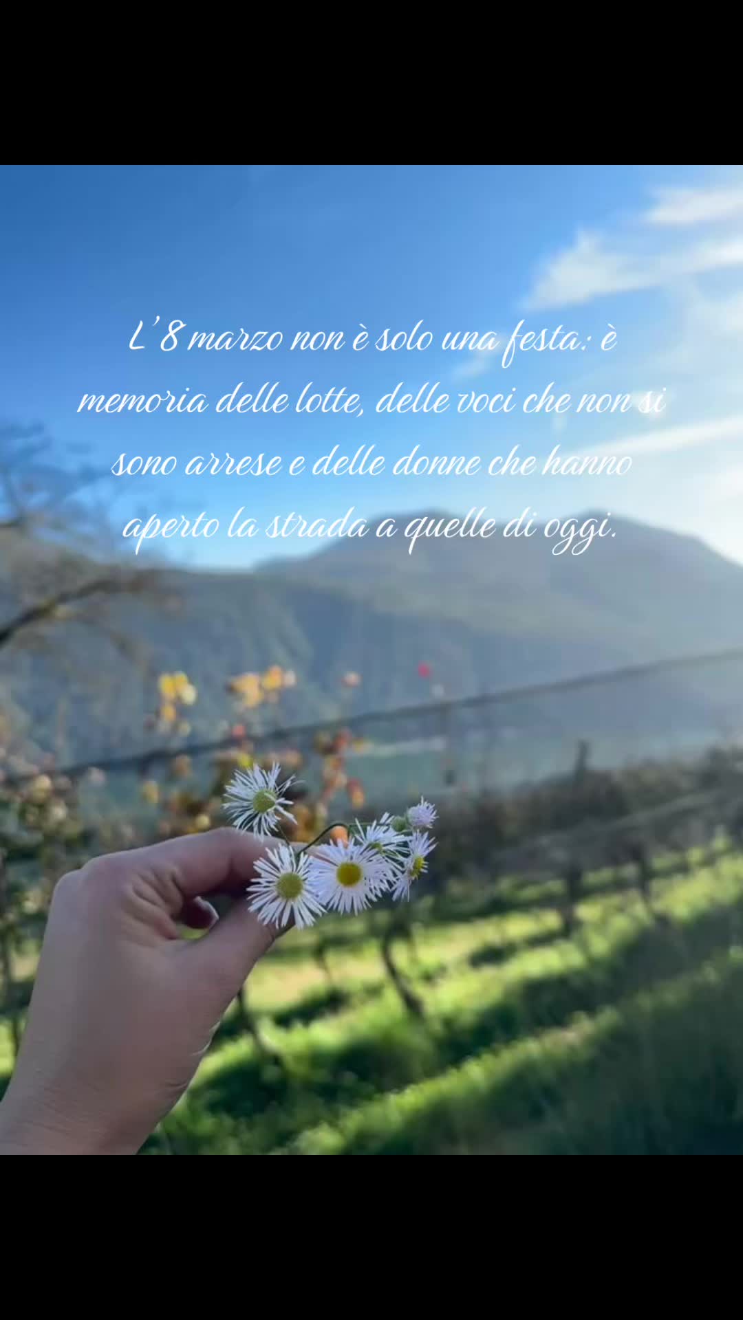 @Daniela
