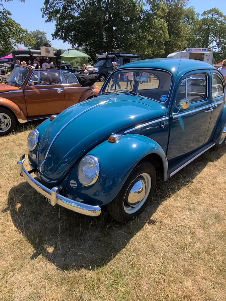 @BeetleguyRob.