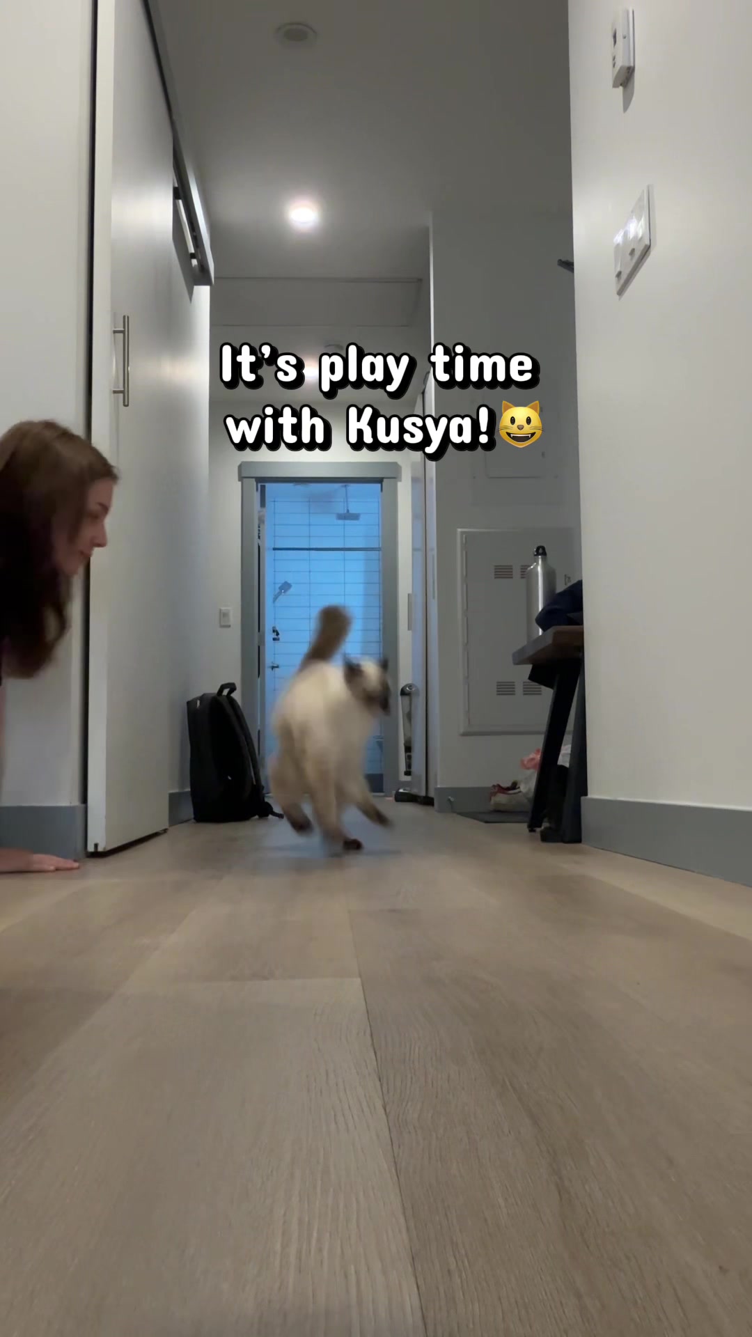 @kusya.the.cat
