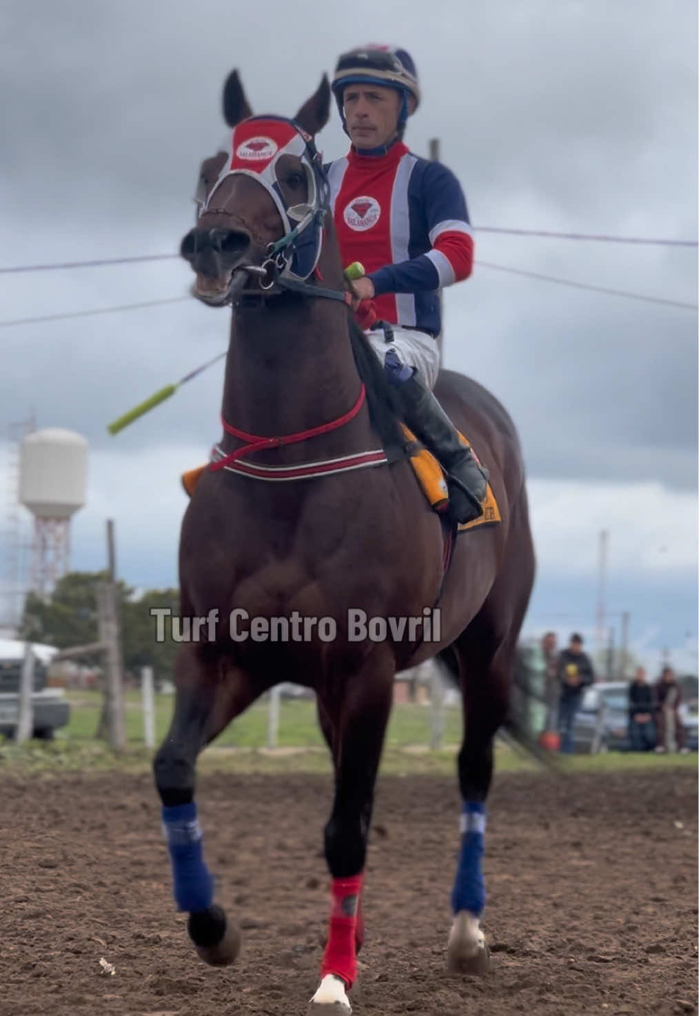 @TURF CENTRO BOVRIL