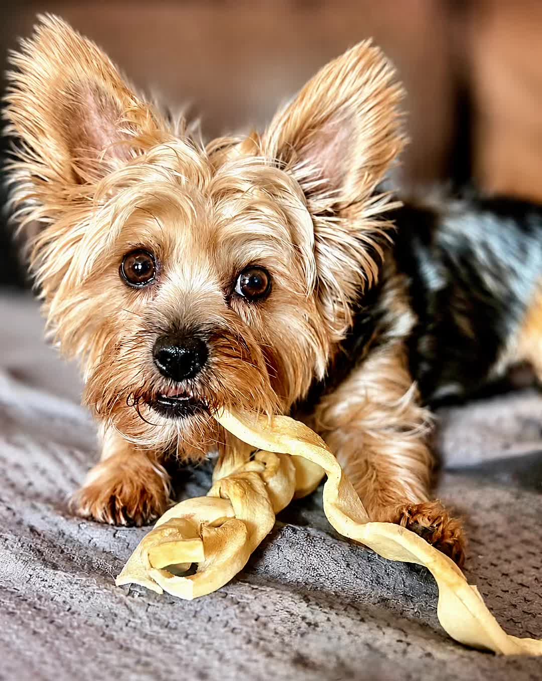 @Pepper_and_Peaches