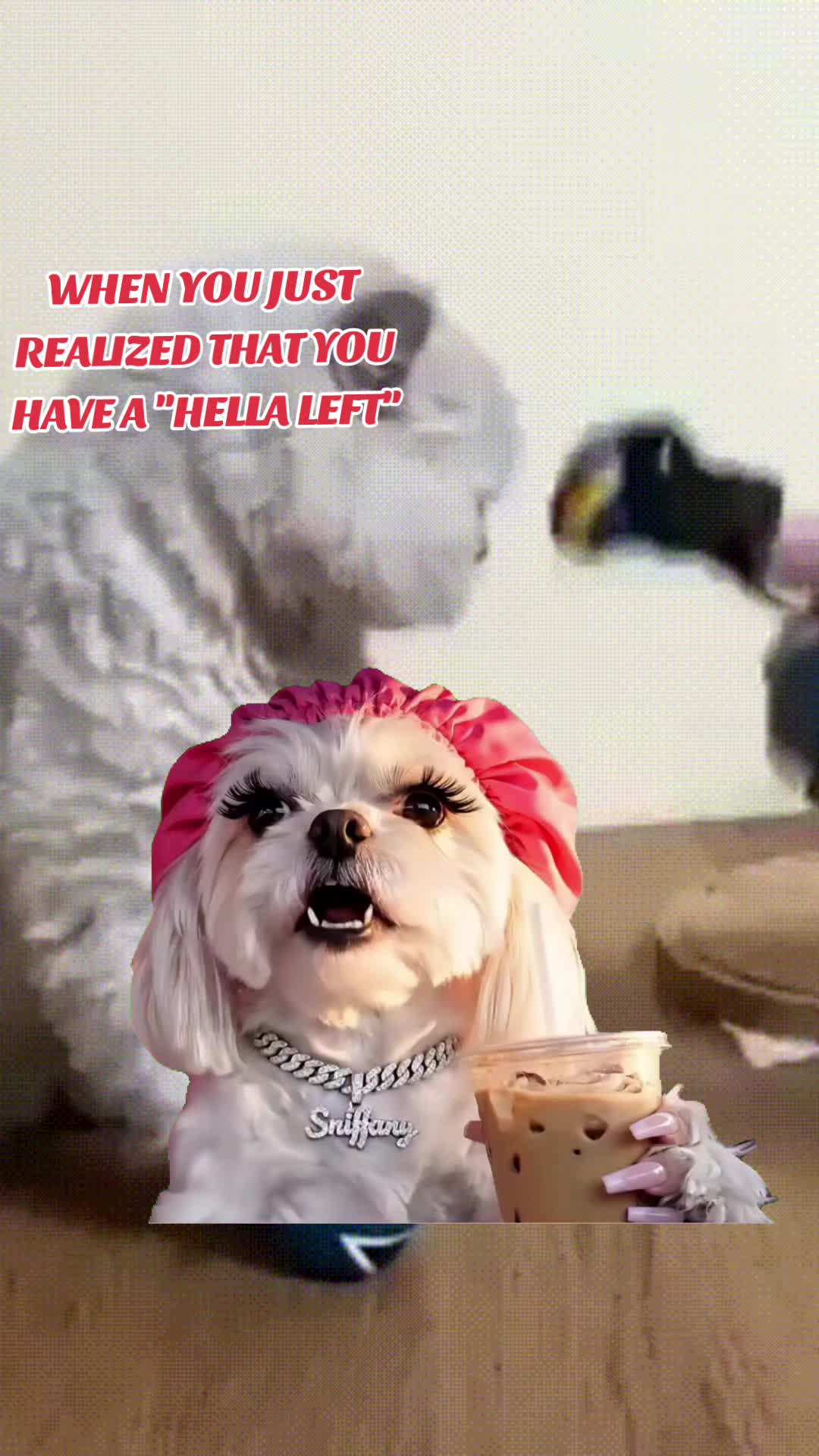 @GIF LOVER❤️