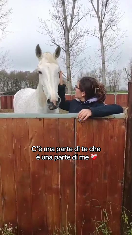 @Marta 🐴