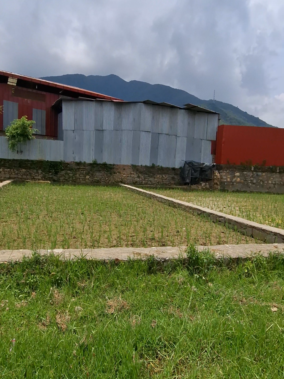 @घरजग्गा किन्नेबेच्ने sorenepal