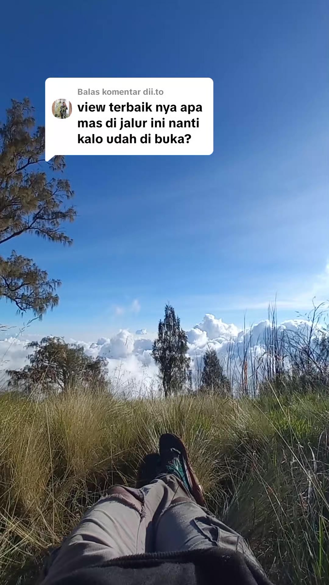 @Andipati