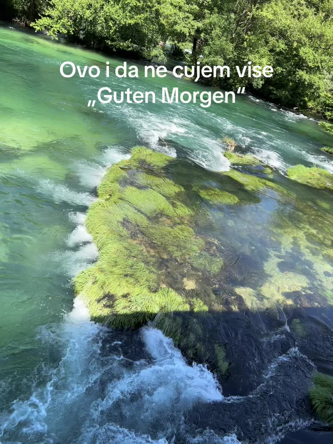 @Viktorija🍀
