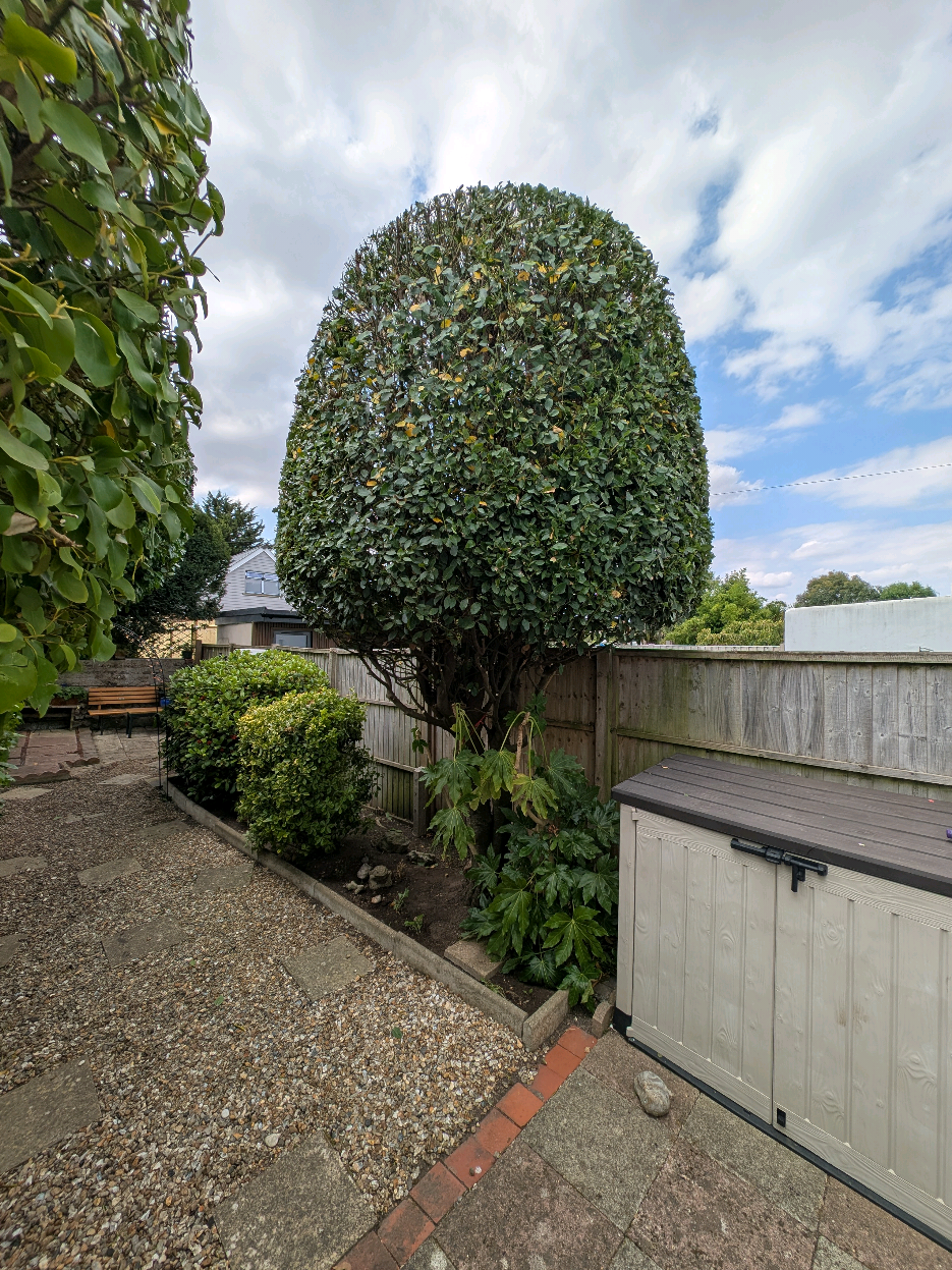 @Gary Hall Garden Services