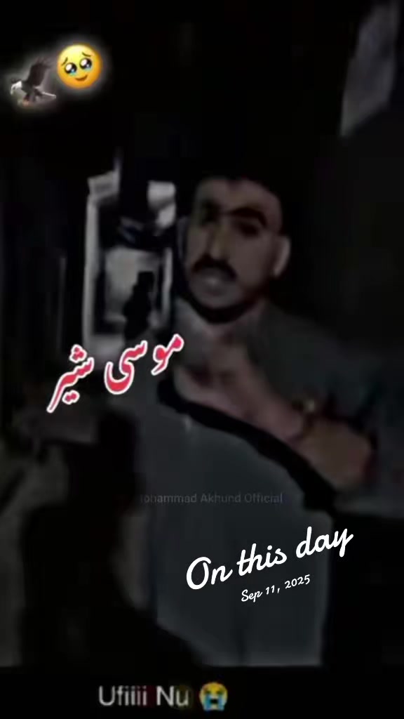 @MUSA KPK KING 👑 804