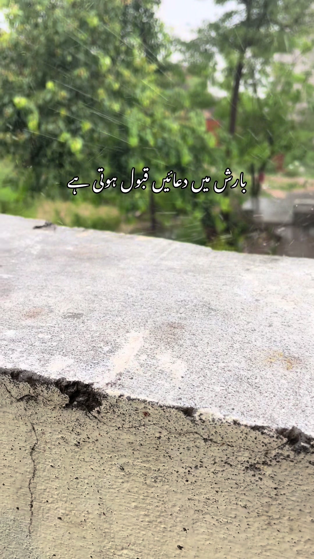 @𝒮𝒽𝑒𝓏𝓊𝓀𝒶 ⋆𐙚₊˚♡