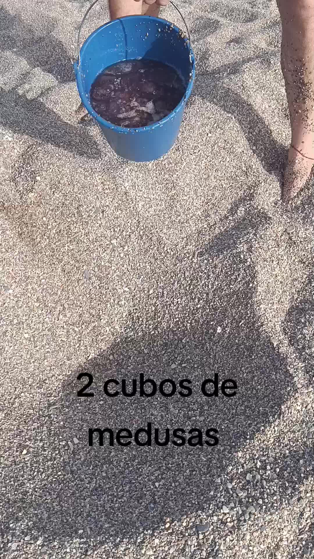 @Yasmina Lopez