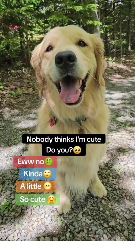 @🐶Griffin