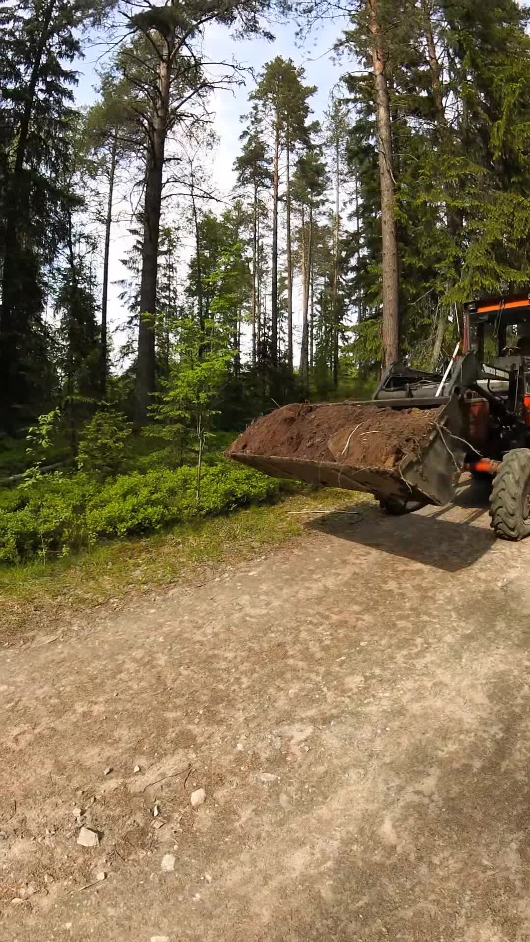 @ForestAndWheels