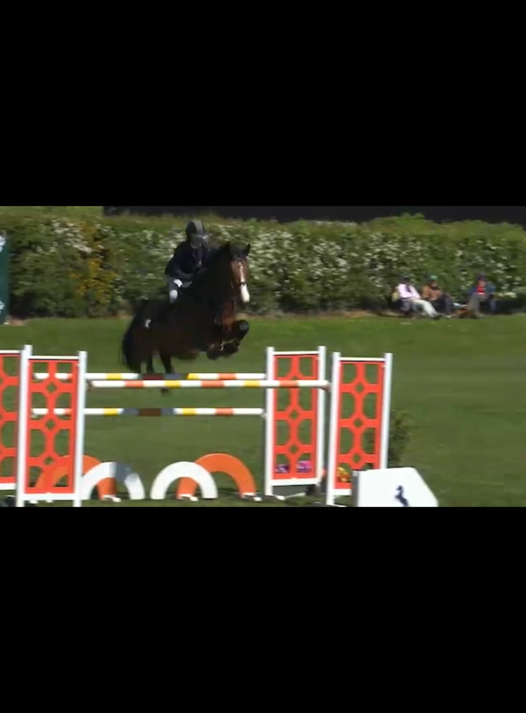 @irishsporthorses