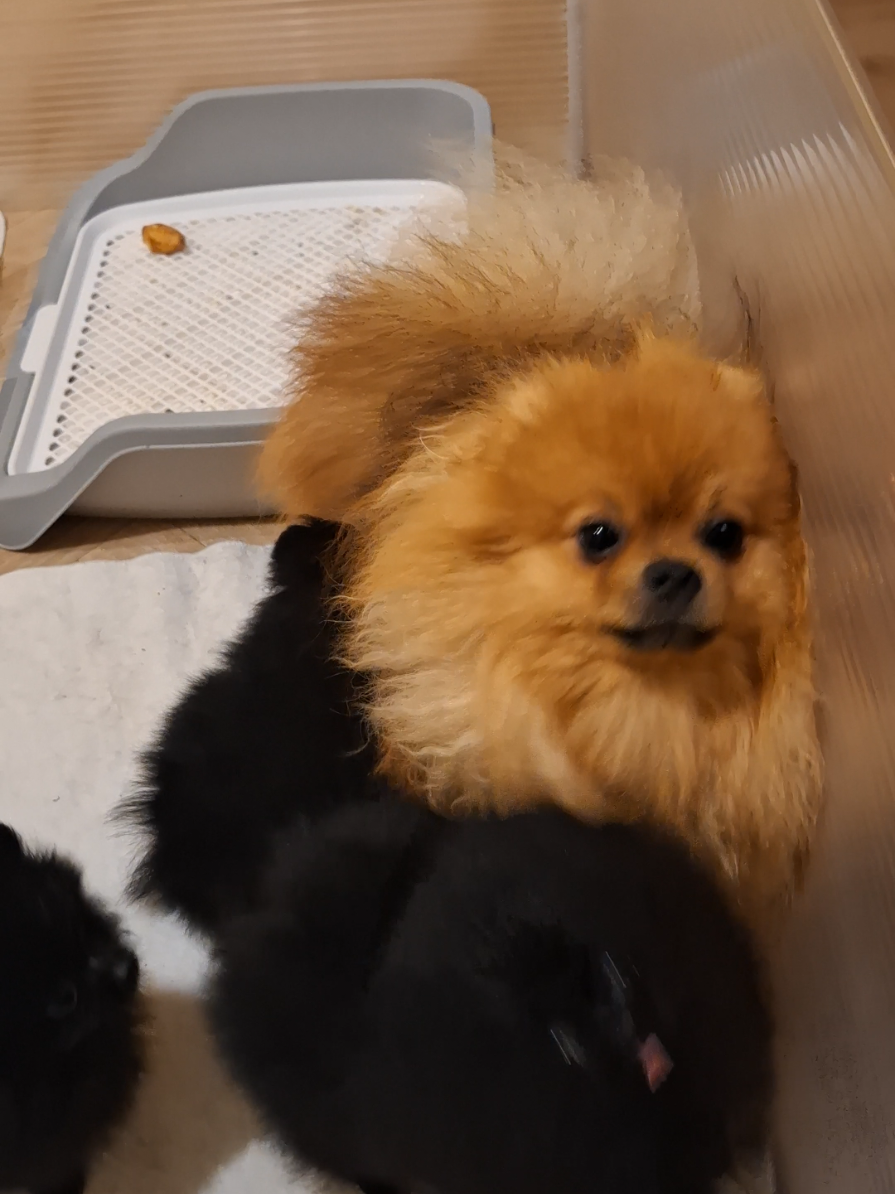 @Flower Of Baltic 🇱🇻