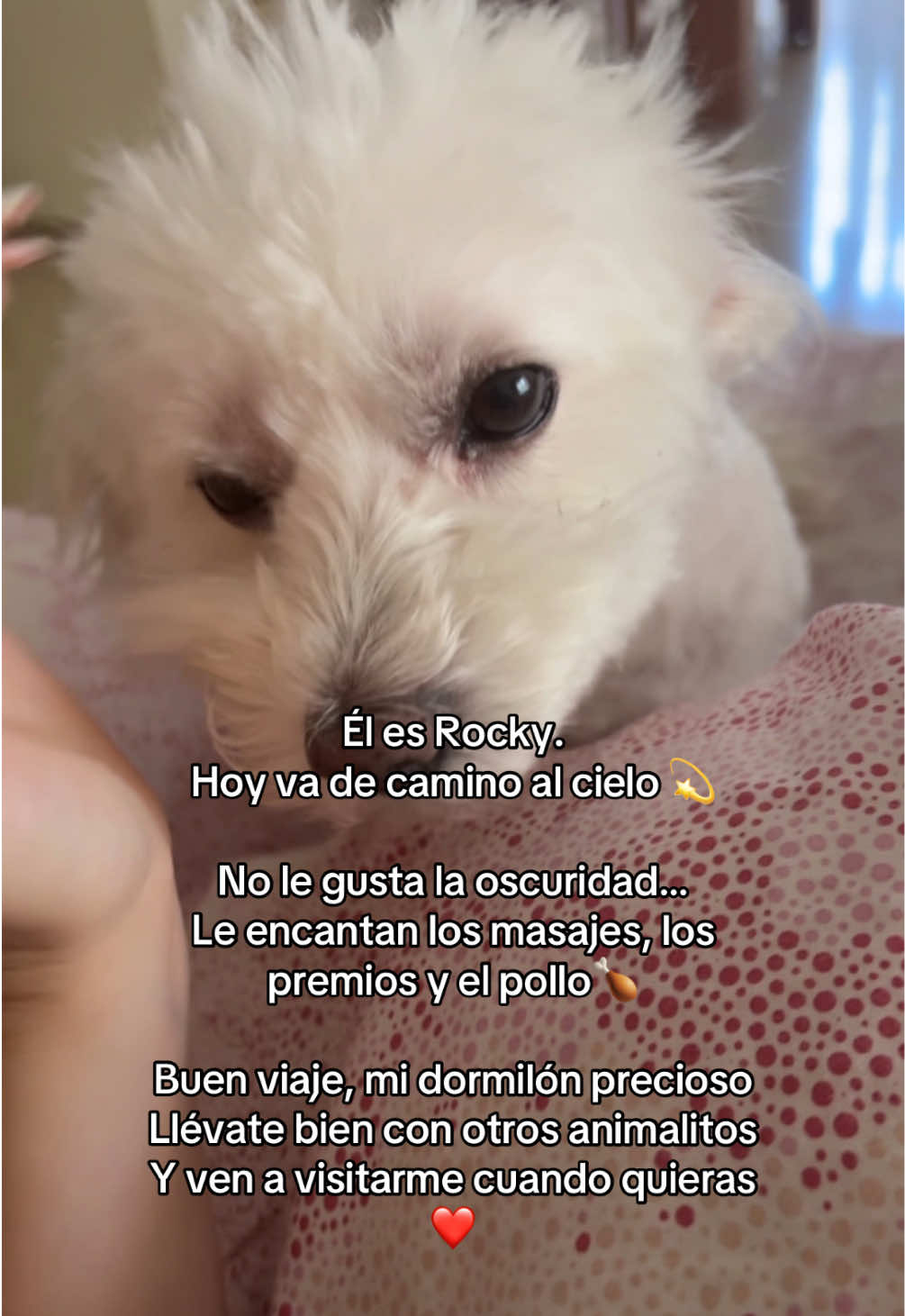 @izabela.gb3
