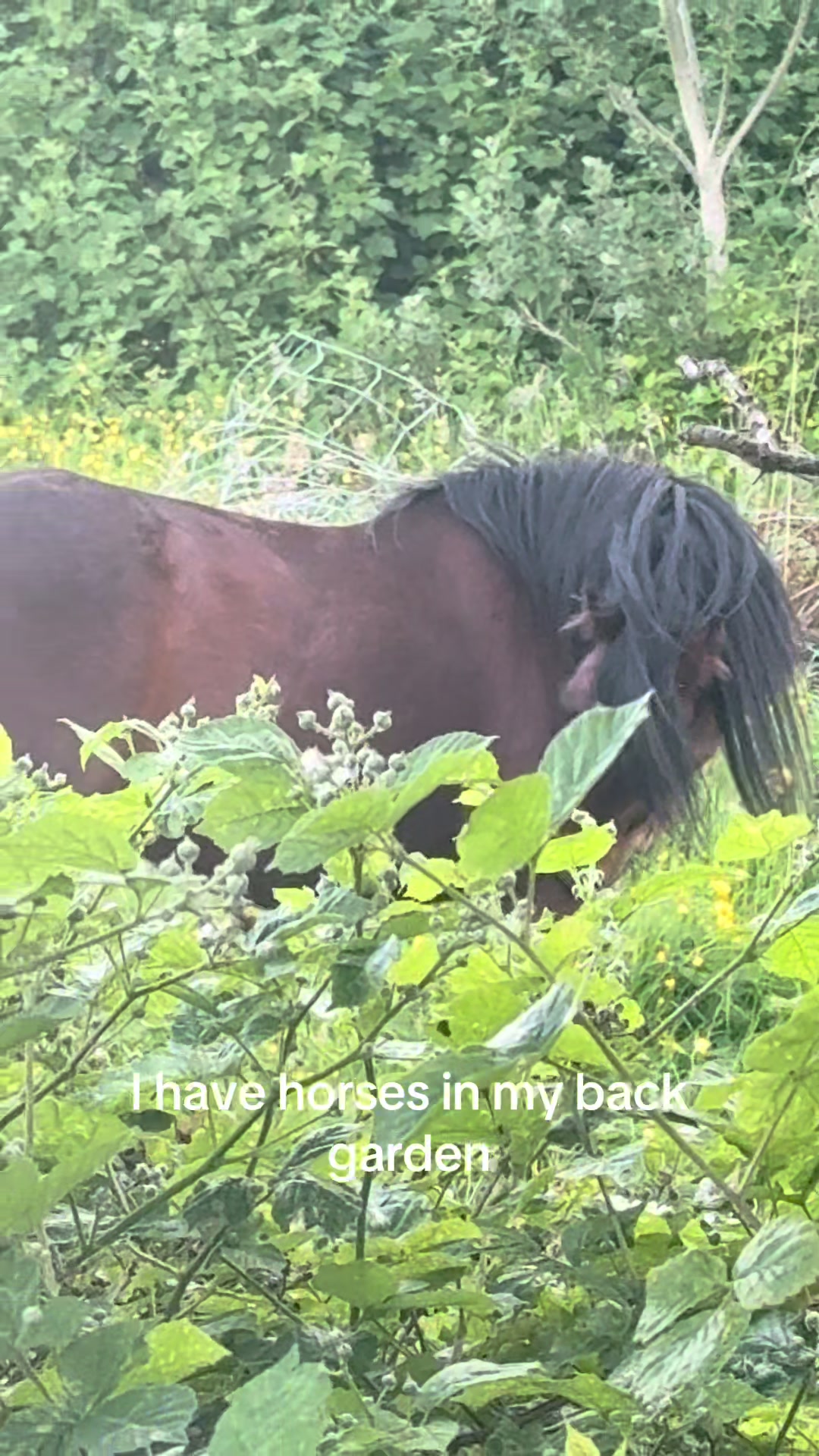 @Rebecca Valehart-Croft