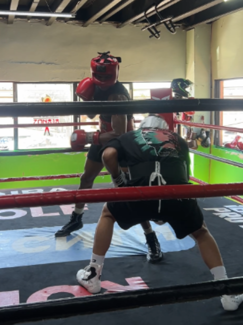 @BOXRAW
