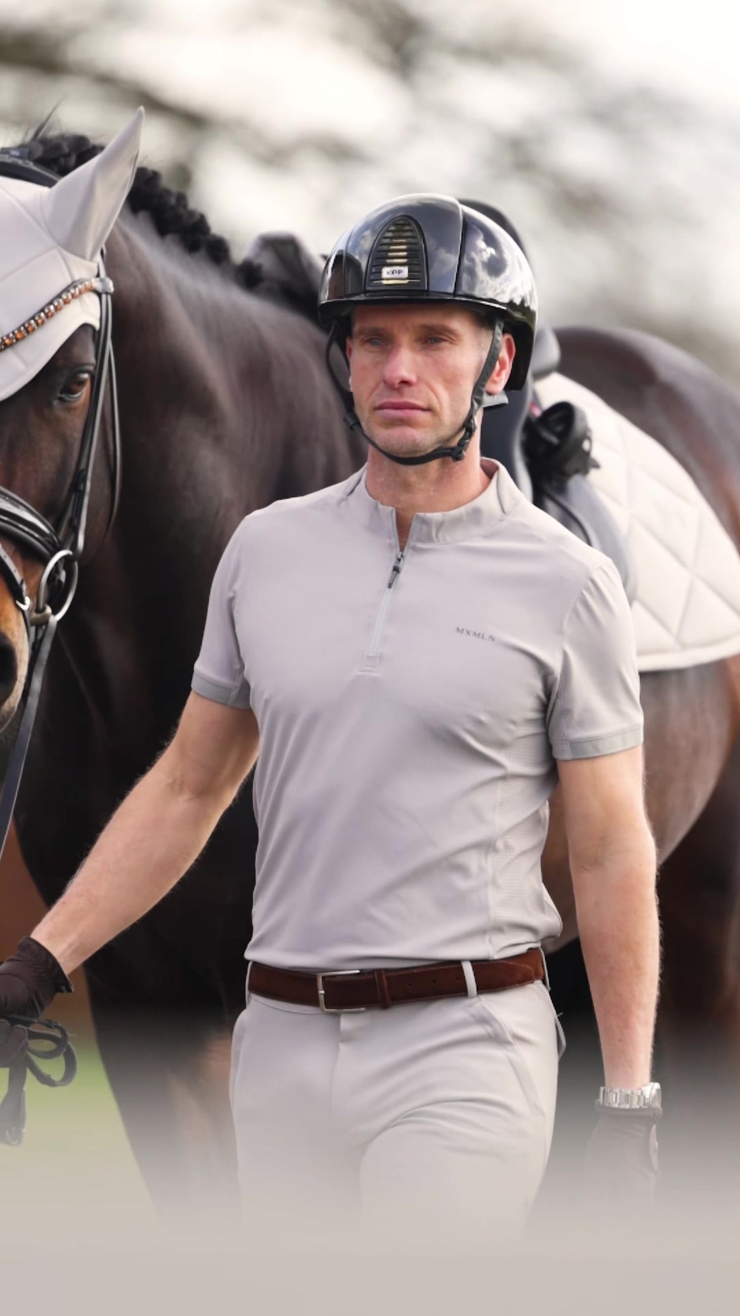 @Maximilian Equestrian