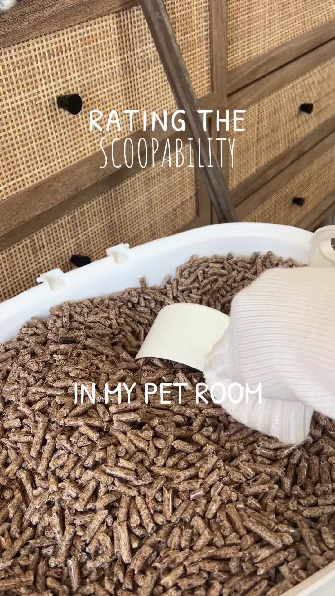 @Petswcourt
