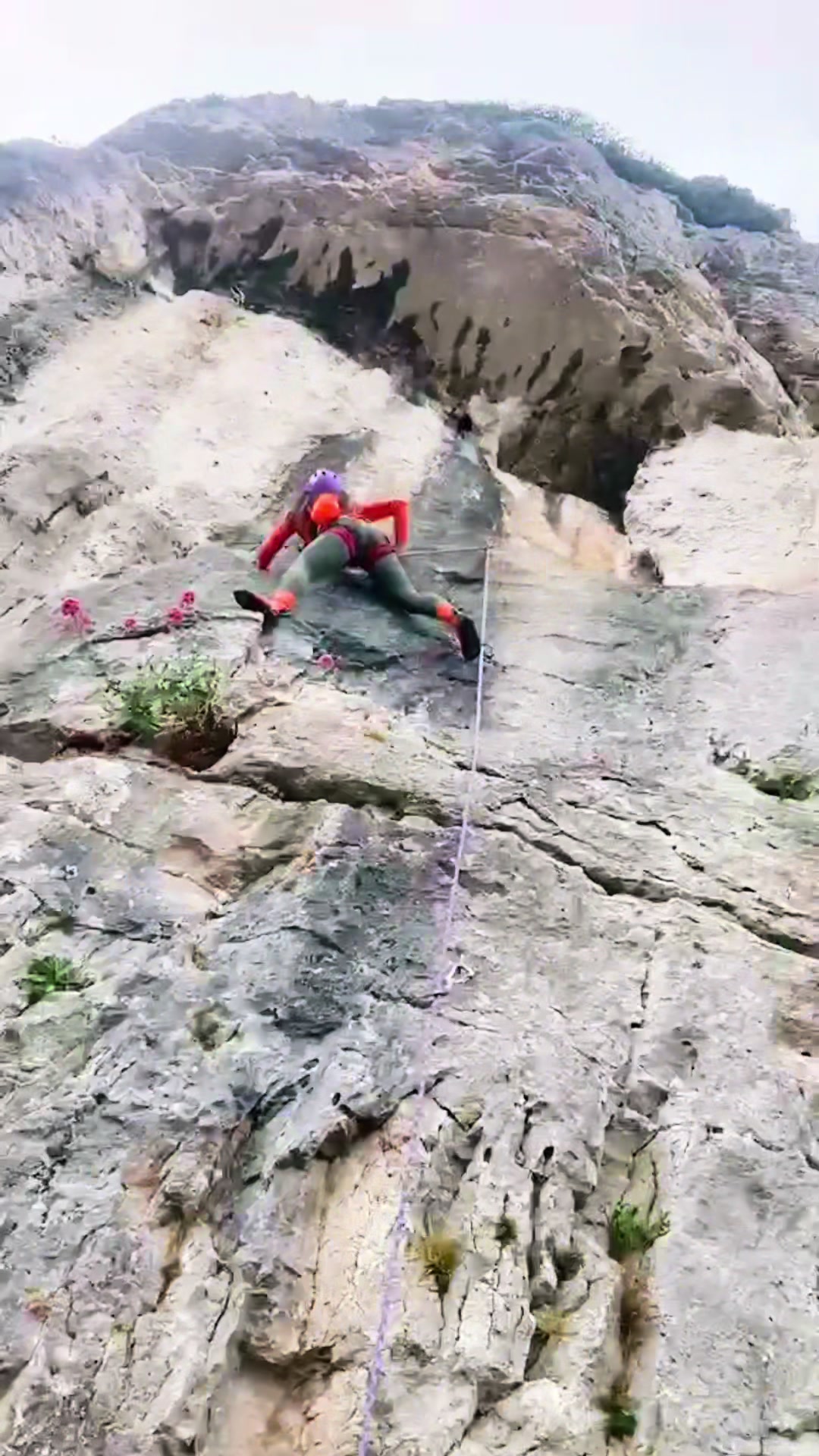 @alispidermonkey🏴