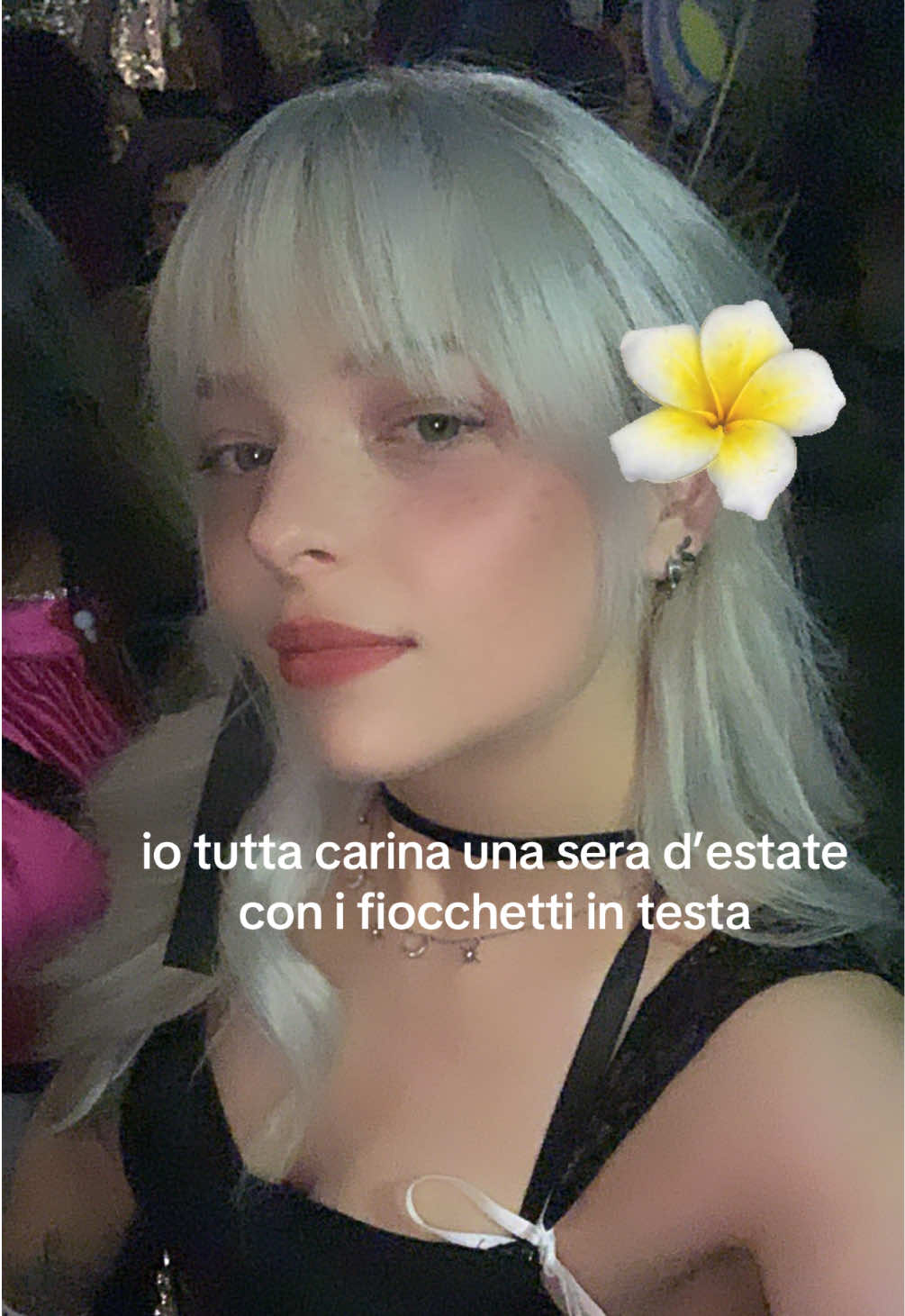 @alexijs