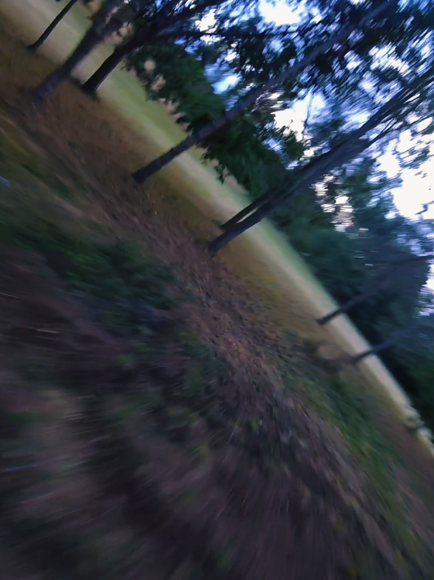 @Glassy93Fpv