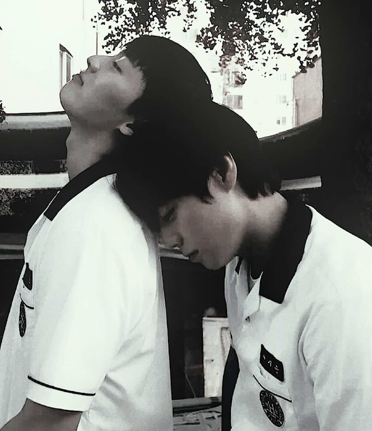 @ototo༄