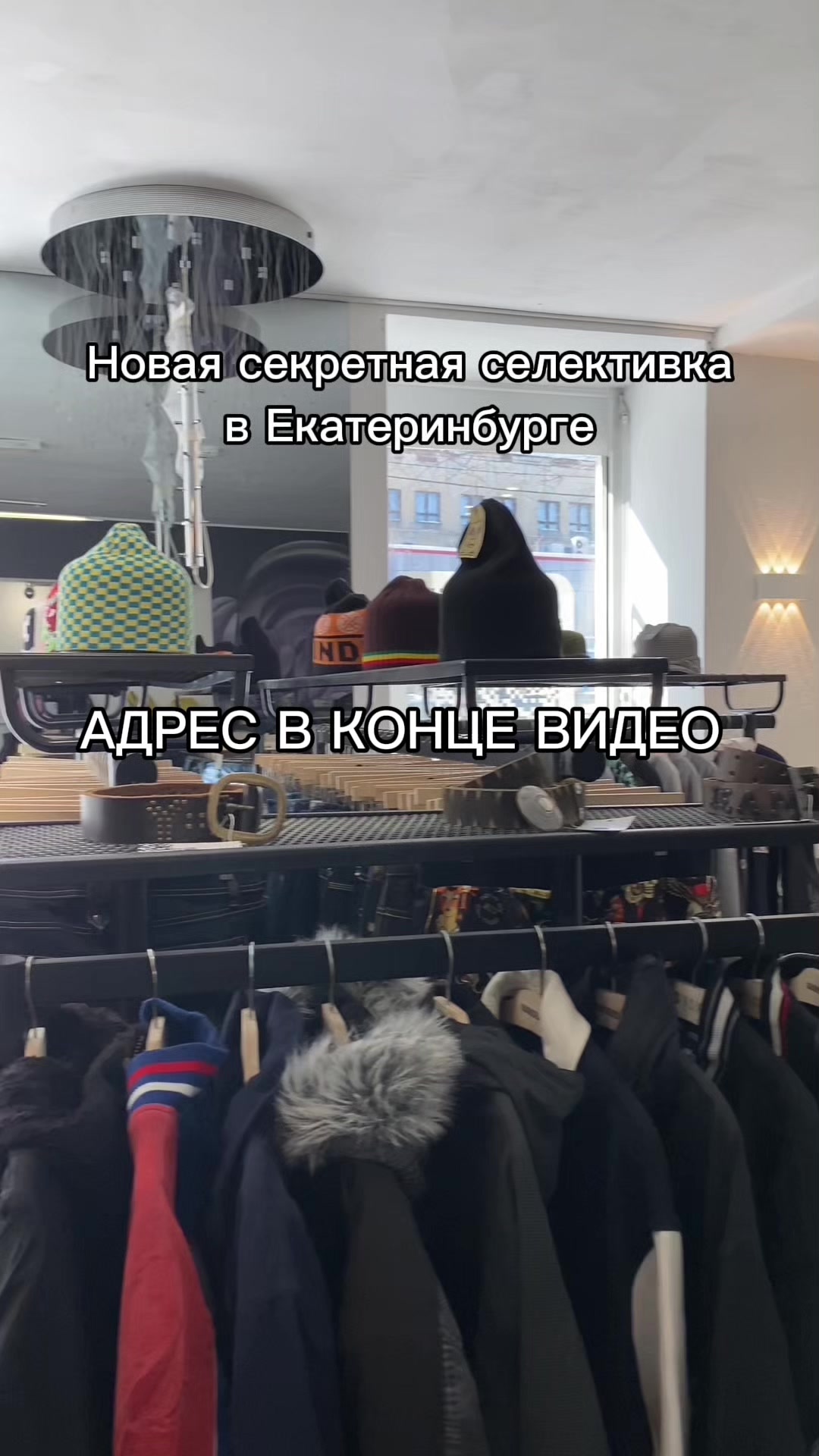 @⚜️ТЁРН / 𝕿'𝕰𝕽𝕹⚜️