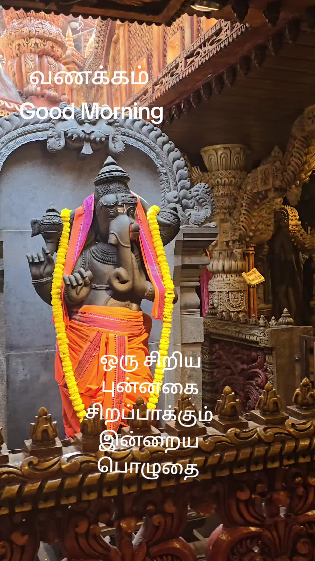 @Panja