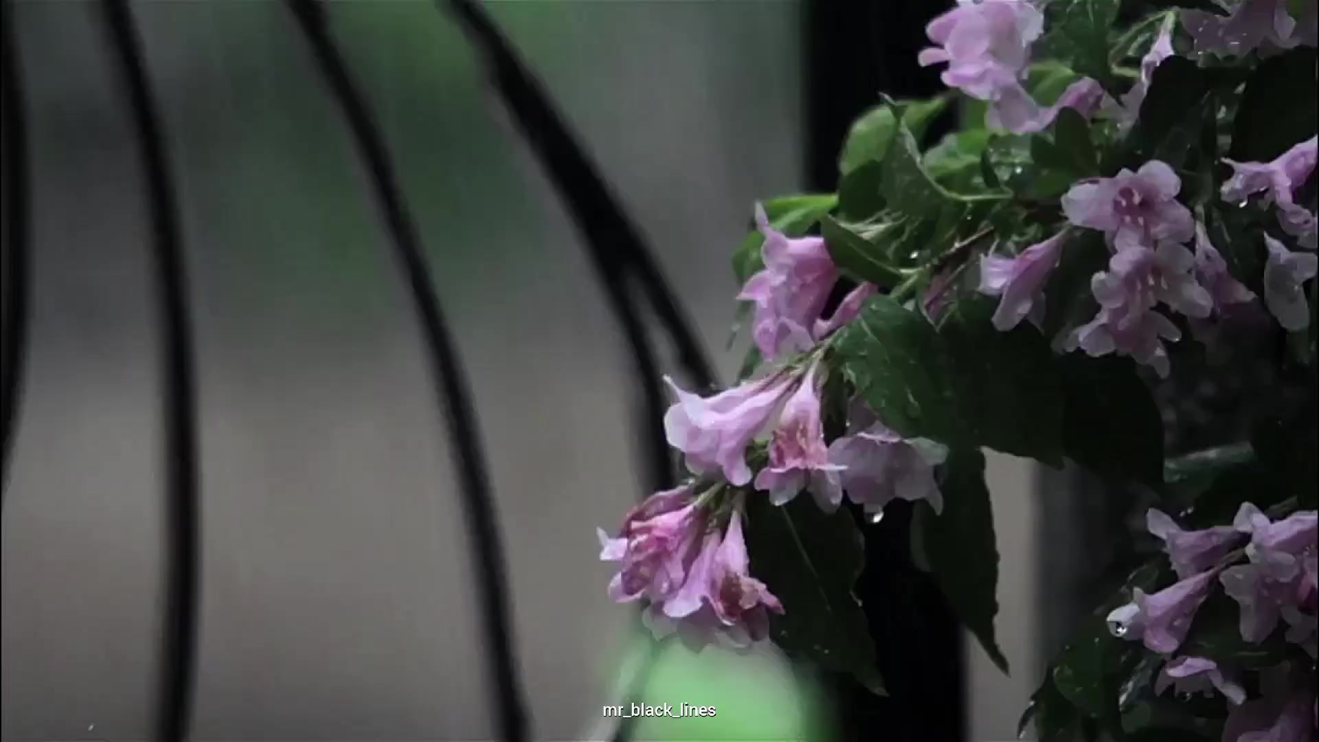 @𐂃𓍯
