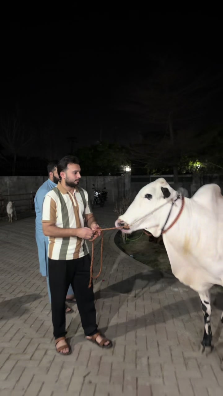 @Saad Rashid
