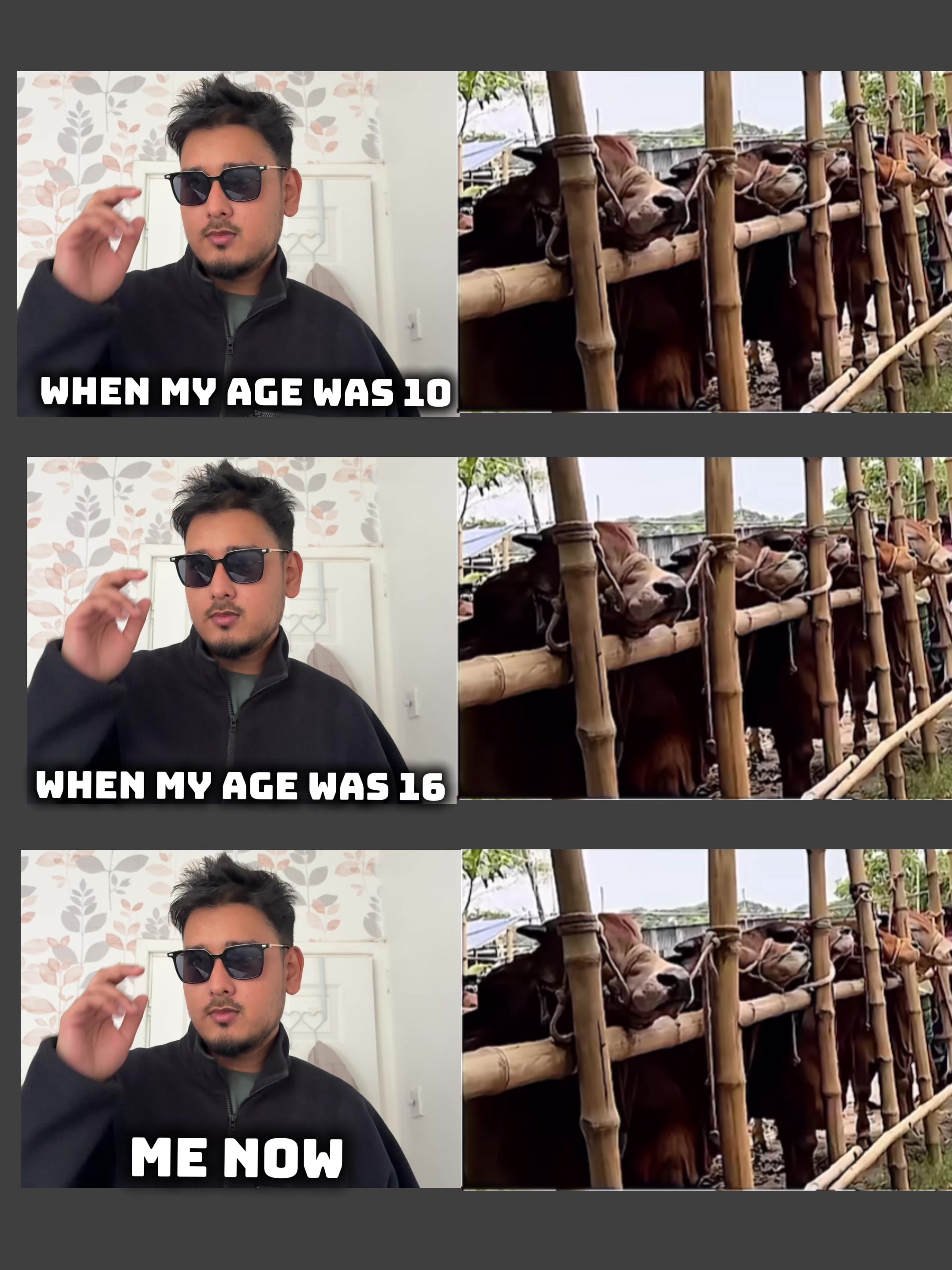 @Tanvir Vlogs