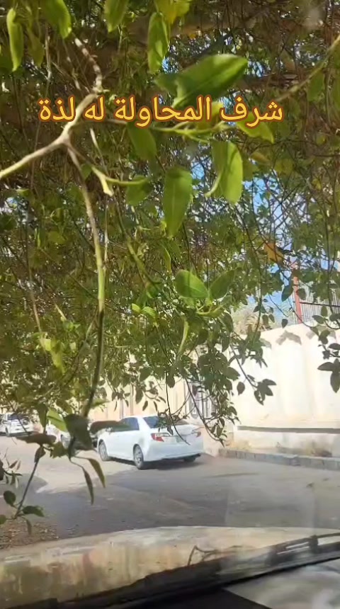@مشروعك جاهز مع علي عبد الباقي