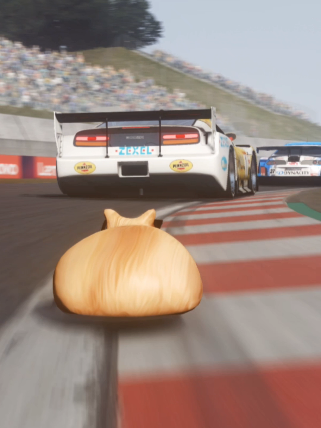 @Pablo the Race Cat