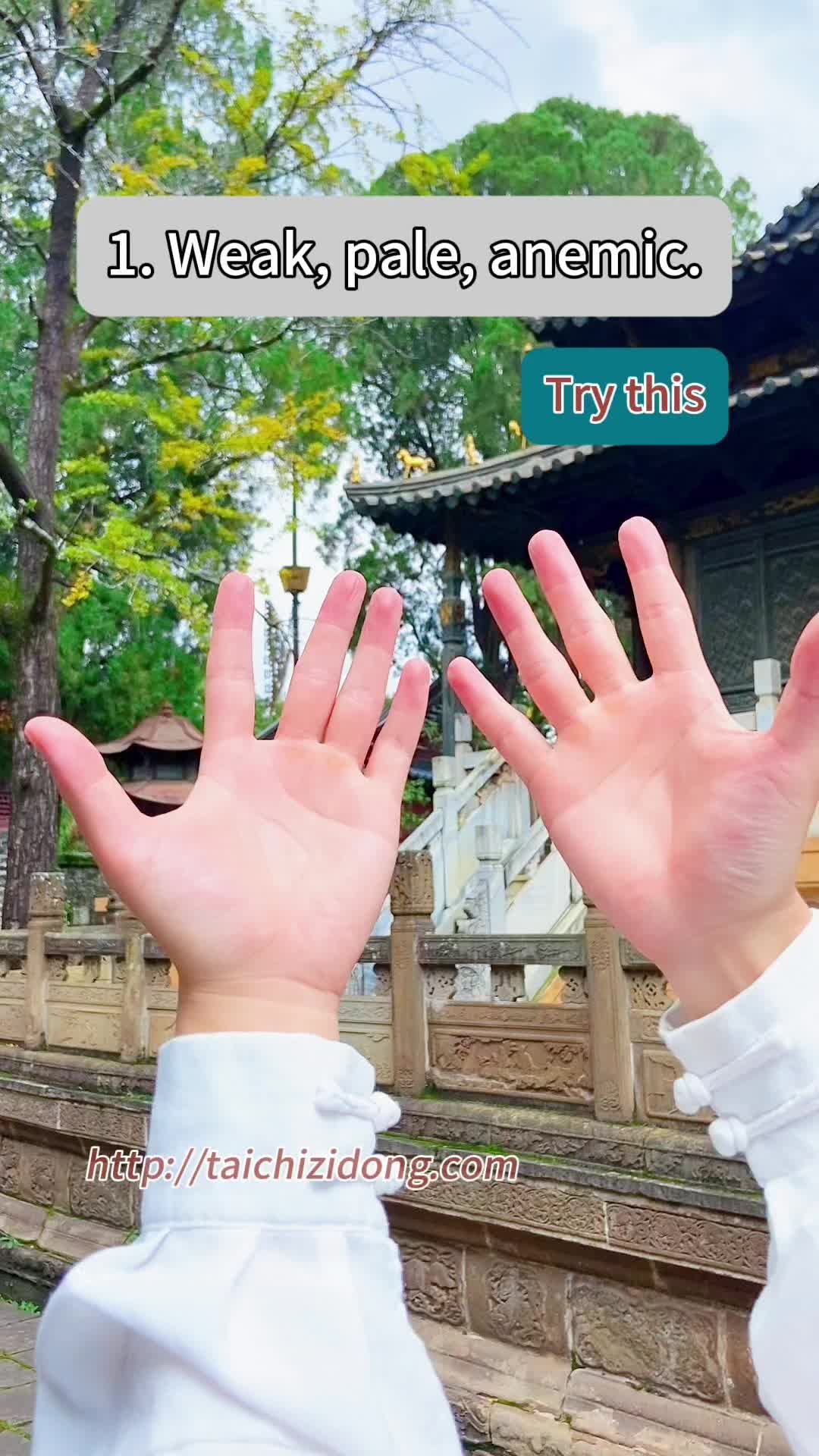 @Wudang.Zidong