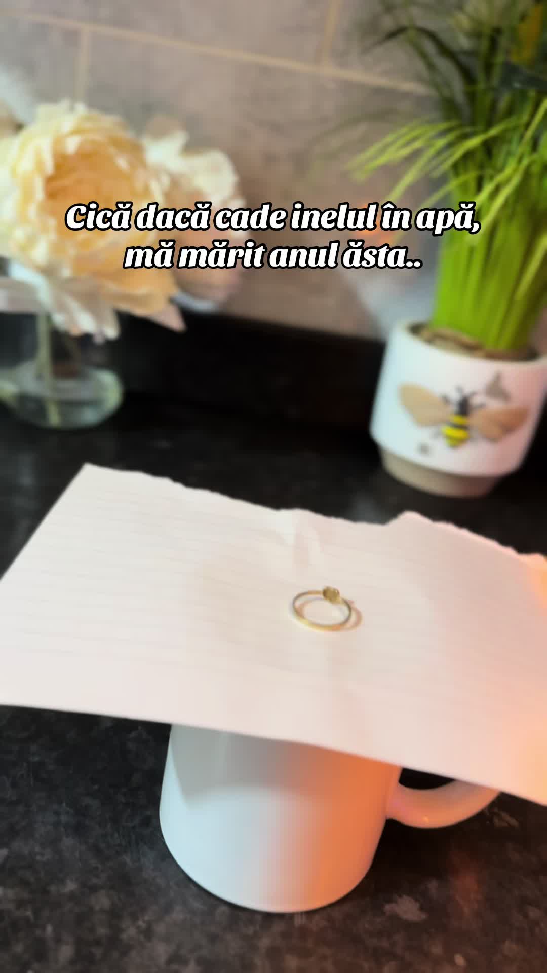 @ℰ𝓁ℯ𝓃𝒶