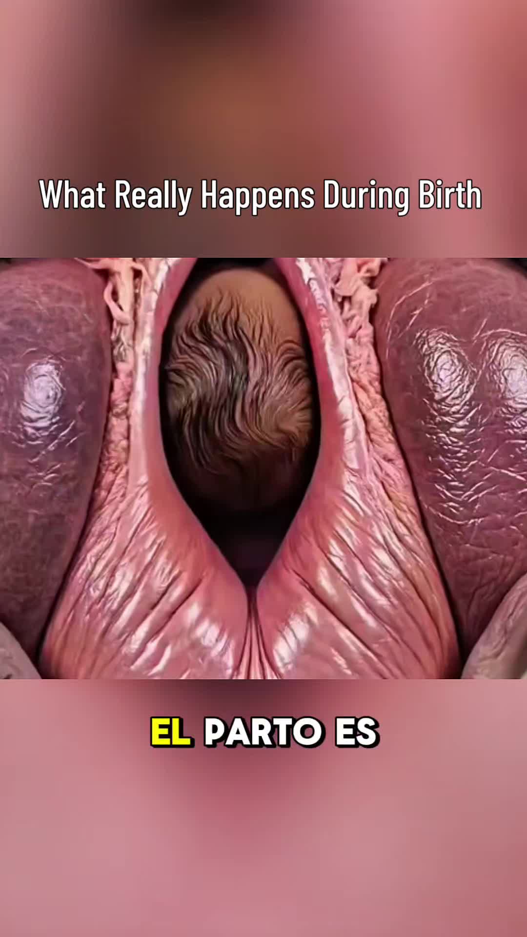 @Femniverse