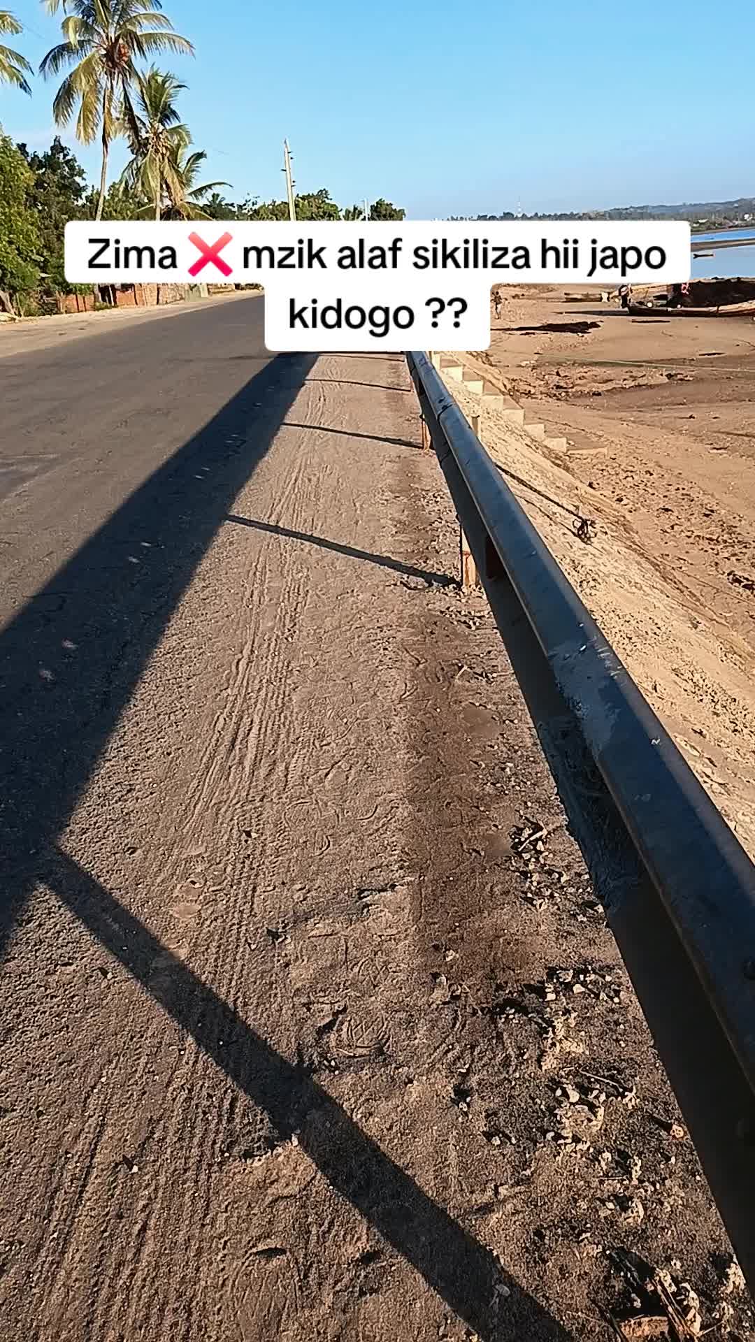 @SINOG jr