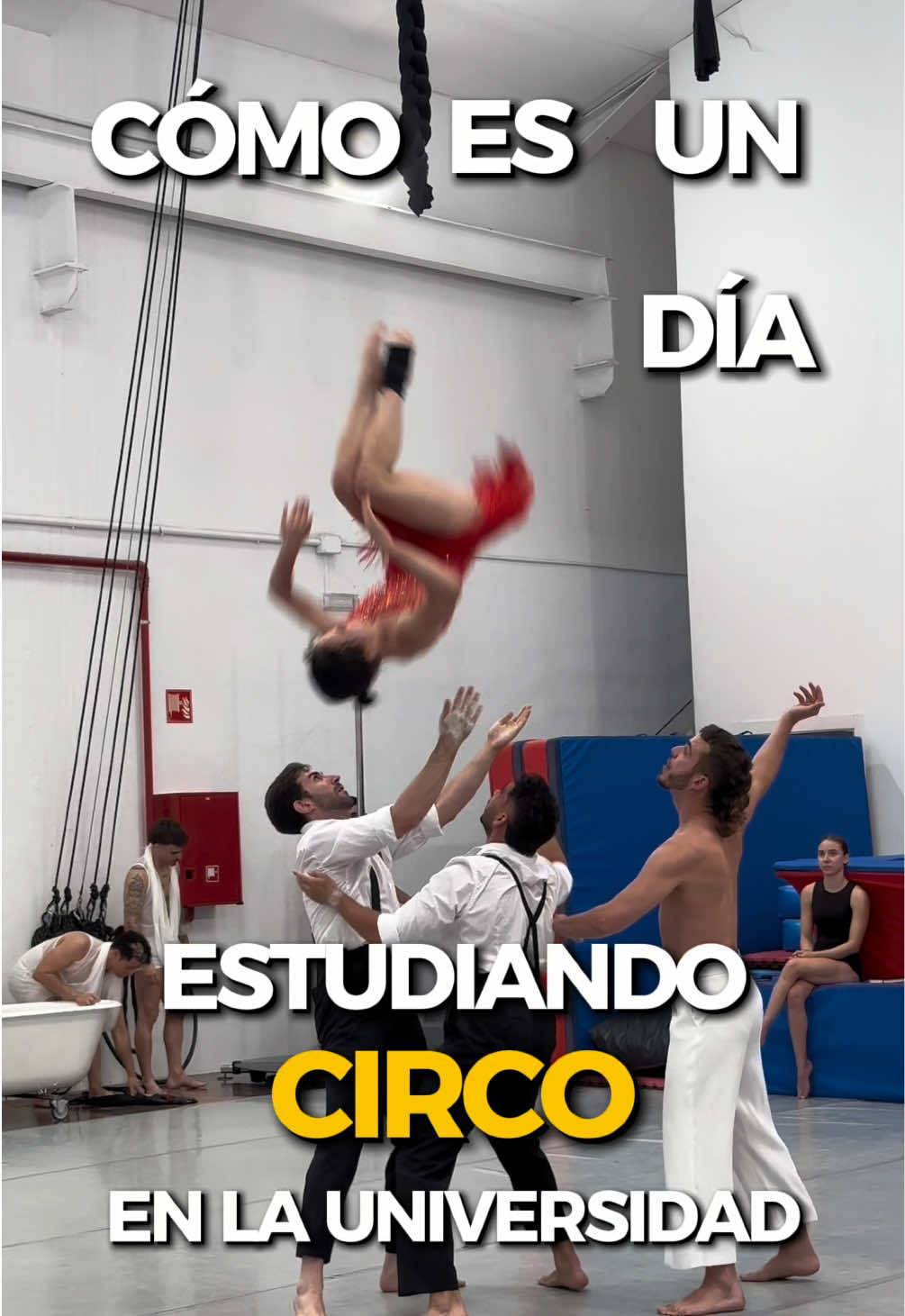 @Luc&iacute;a Oltra 💜