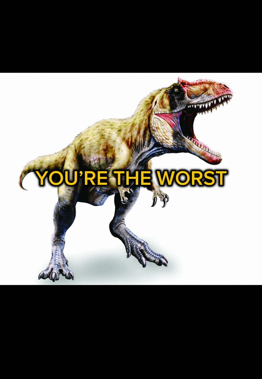 @John Bobby’s Gym Page