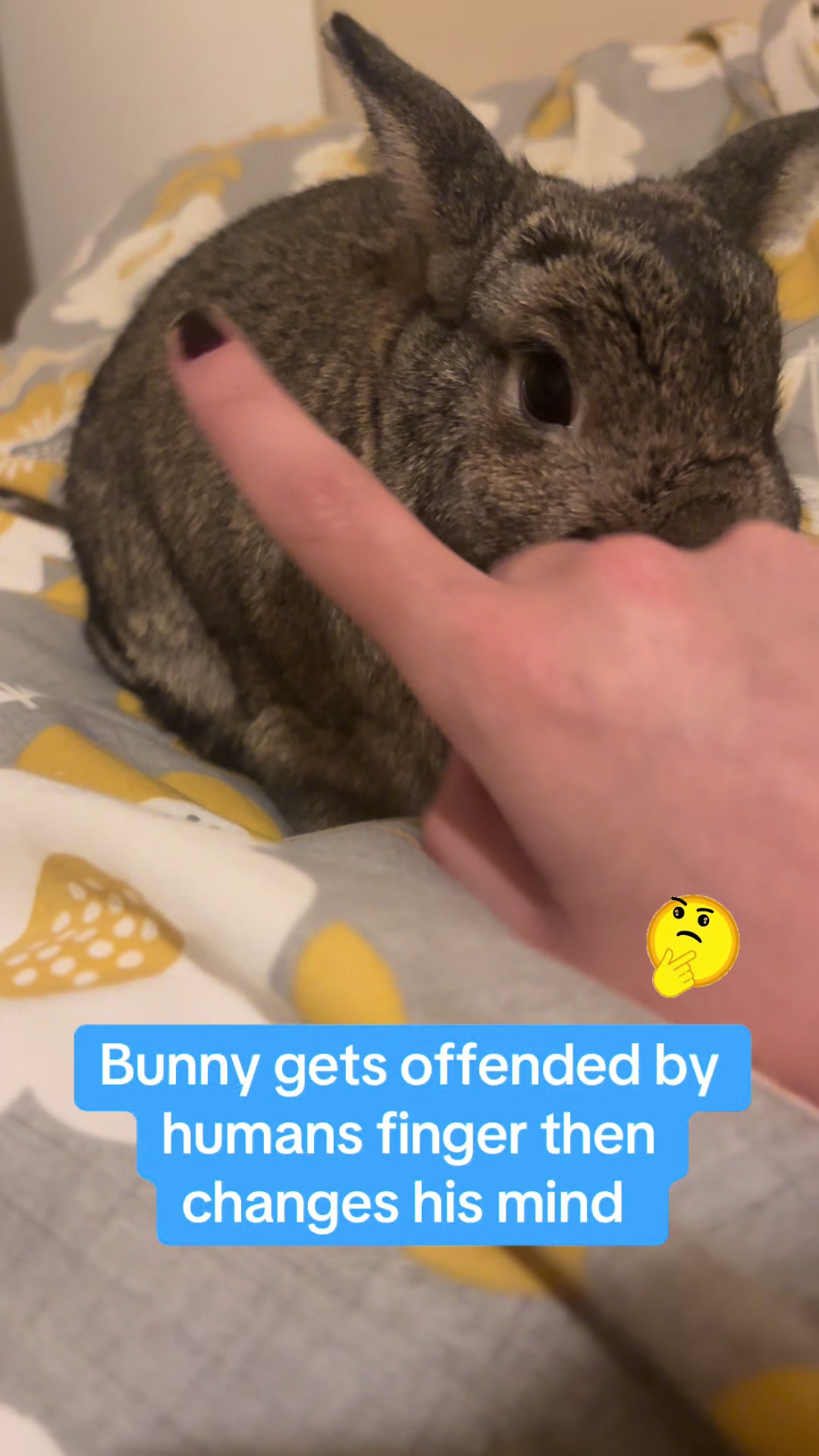 @Olive and Clem 🐰🐰