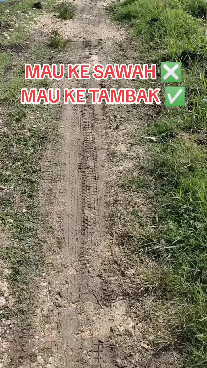 @SuryaGemilang