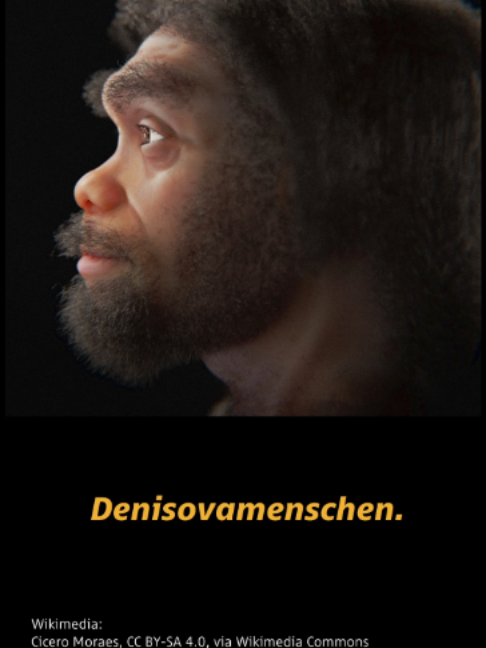 @Niklas Kolorz