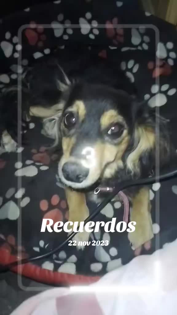 @Maty Barahona